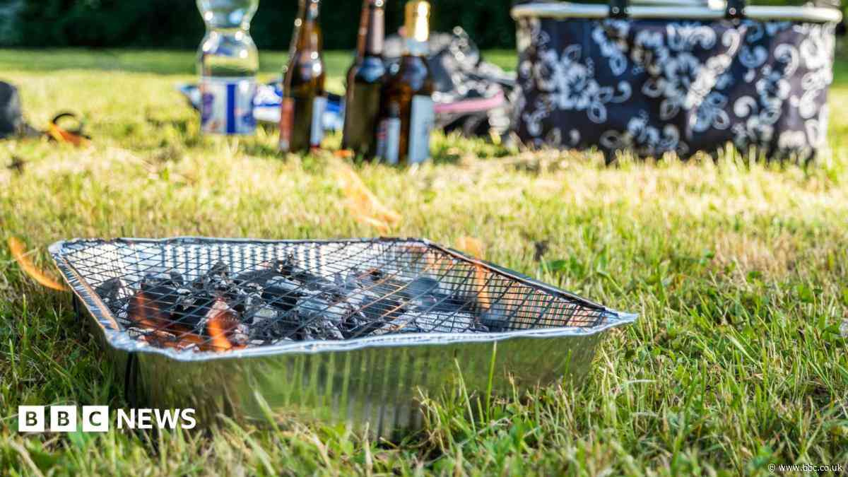 Three-year ban on fires and BBQs in parks approved