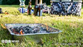 Three-year ban on fires and BBQs in parks approved