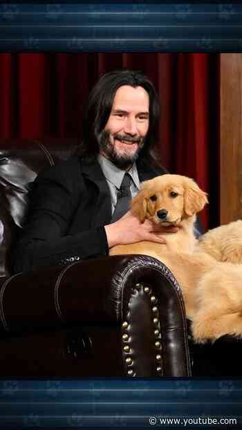 #KeanuReeves & Jimmy compete for puppies in Pup Quiz! 🐶 #FallonFlashback