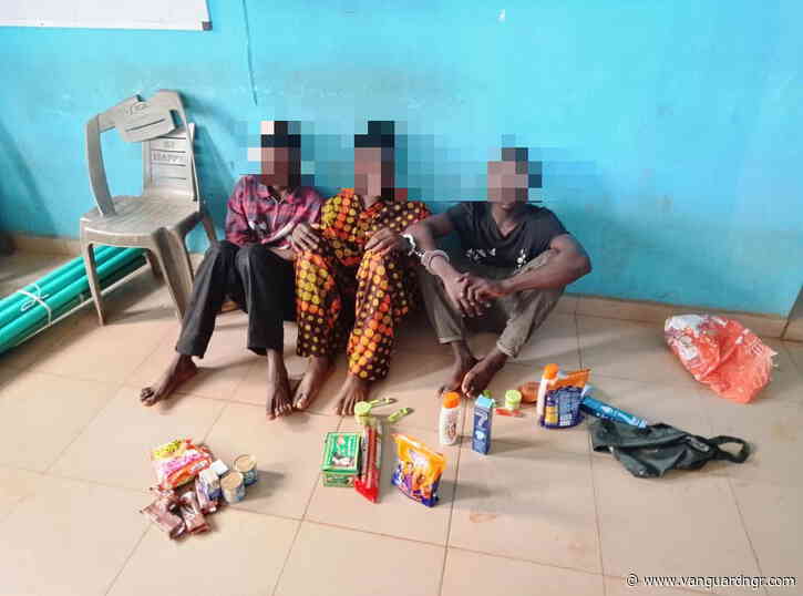 Police arrest five teenagers over multiple shop burglaries in Ogun
