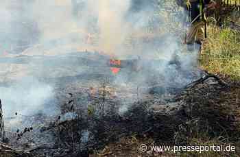 FW Speyer: Waldbrand auf dem Truppenübungsplatz