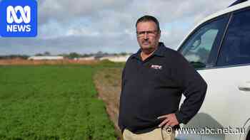 300-plus homes stalled as SA Water battles 'severe constraints'