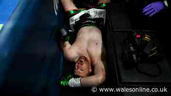 Katie Taylor boxing event in chaos as fight called off and 80,000 crowd boo