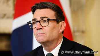 LORD ASHCROFT: For now, Burnham has steadied the ship, but a reckoning is coming. When it does, his rivals must be ready to strike