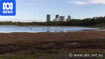 Proposal to pump 70m litres of treated wastewater into Parramatta River