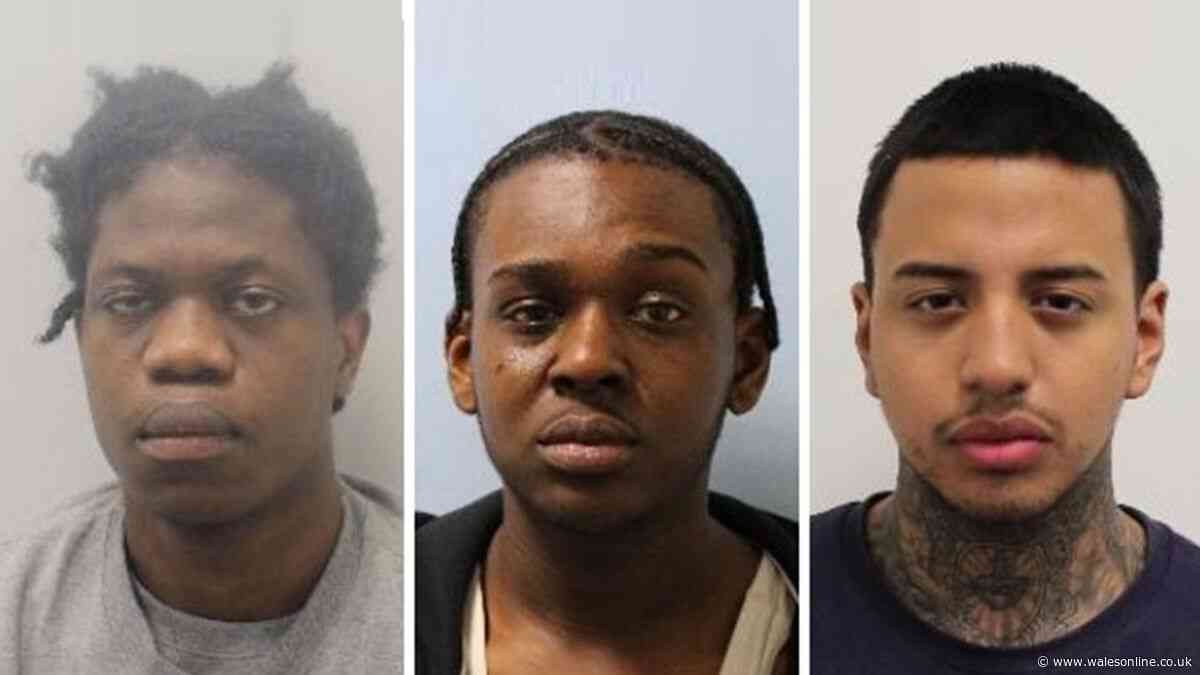 Three man who hacked young dad to death with machete jailed for life