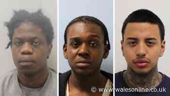 Three man who hacked young dad to death with machete jailed for life