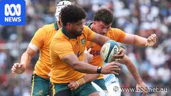 Live: Wallabies locked in tense encounter with Pumas