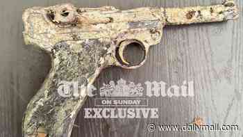 Revealed: Antique Nazi handgun found by British tourist that could solve 14-year-old murder mystery of three Brits and passing cyclist who were gunned down in French countryside