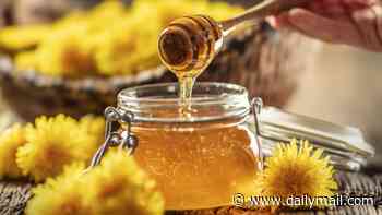 Alarming levels of Viagra found in 'organic aphrodisiac honey' which is being sold as food to boost your love life