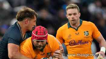 Wallabies botch golden chance against 13-man Pumas in Mendoza draw