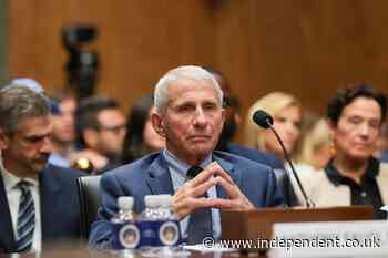 Inside the Trump FBI push to investigate Fauci and find evidence Covid came from a Chinese lab