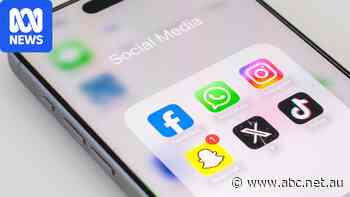 Social media platforms to be forced to offer algorithm opt-out