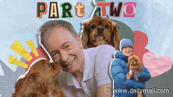 'Nobody will ever love you like a dog': TONY PARSONS was left alone and anxious as the world shut down. But he always had spaniel Stan - even after he took this Casanova of the canine world on a leg-crossing visit to the vets...