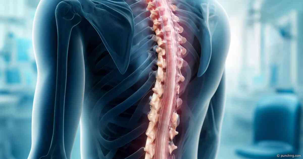 Stem-cell breakthrough offers hope for spinal cord injury patients