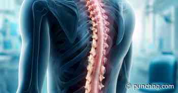 Stem-cell breakthrough offers hope for spinal cord injury patients