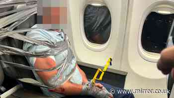 American Airlines passenger duct-taped to seat after 'violent and racist' outburst