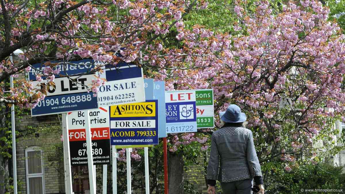 'Relentless' rent rises for UK tenants with change 'over next year'