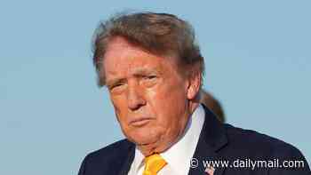 Donald Trump shows off a very different look as he steps off Air Force One... weeks after flaunting 'impossible glow-up'
