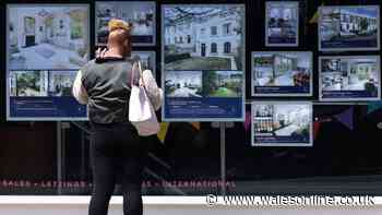 'I'm an expert and renters make crucial mistake when comparing to buying'