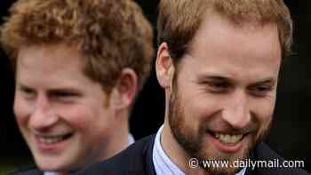RABBI DR JONATHAN ROMAIN: I'm a man of God, but I don't think William should make peace with Harry... some wounds can never be healed