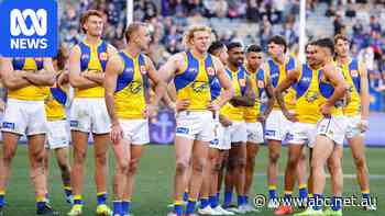 Ex-Eagle says 'conservative and vanilla' AFL club's main focus is money