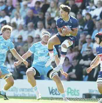 Page puts Scarlets on right road