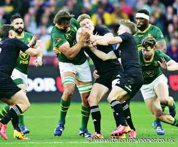 The best Springbok ever? That’s a big call