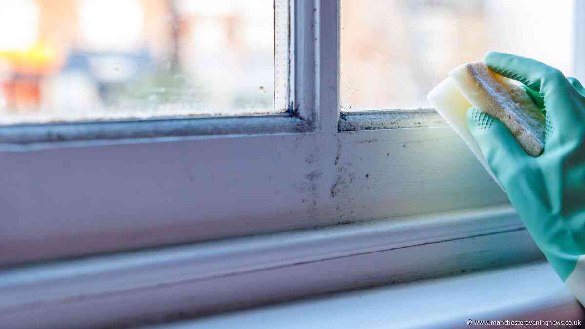 I found a 9p solution to help prevent damp and mould when drying clothes inside