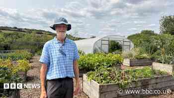 Flourishing green communities are changing lives