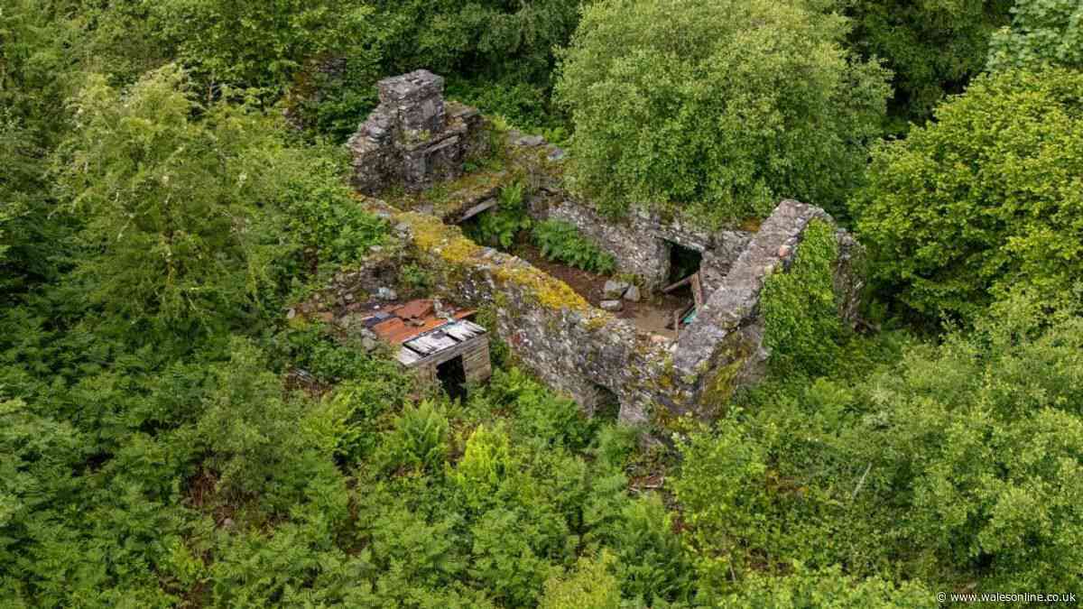 Why almost worthless Welsh house without a roof is one of the most important buildings in Wales