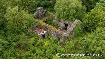 Why almost worthless Welsh house without a roof is one of the most important buildings in Wales
