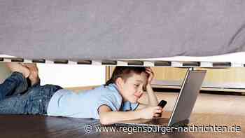 Wenn Kinder online auf ?Kaufen? klicken Wann m?ssen Eltern zahlen?