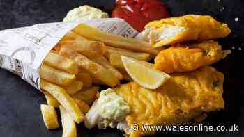 Fish and chips could cost £18 per portion by 2030 as chippy prices soar