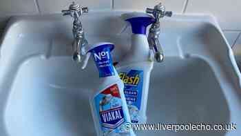 I removed bathroom limescale with Viakal and Flash — one worked best