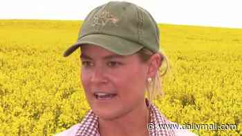 Aussie farmers lose it at tourists ruining their crops to grab the perfect selfie: 'Disappointing'