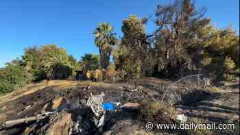 Two children killed and two adults critically injured in California plane crash
