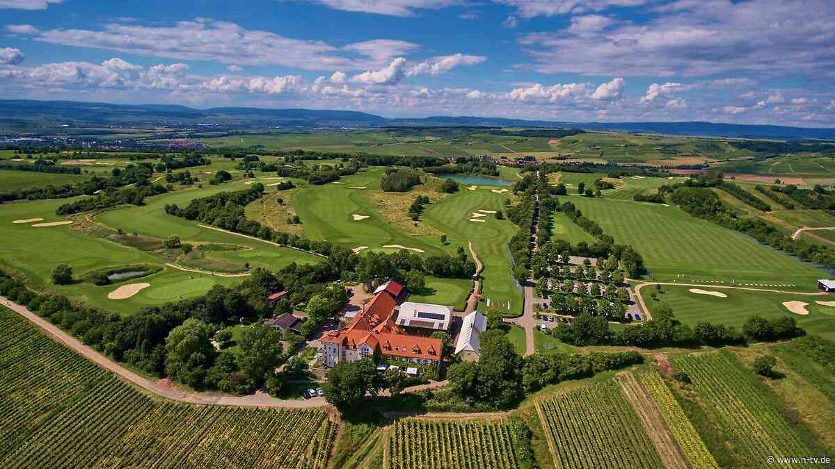 Rathgeber Fine Hotels : Geheimtipp in Rheinhessen, bei dem Zimmer, Blick und Essen stimmen