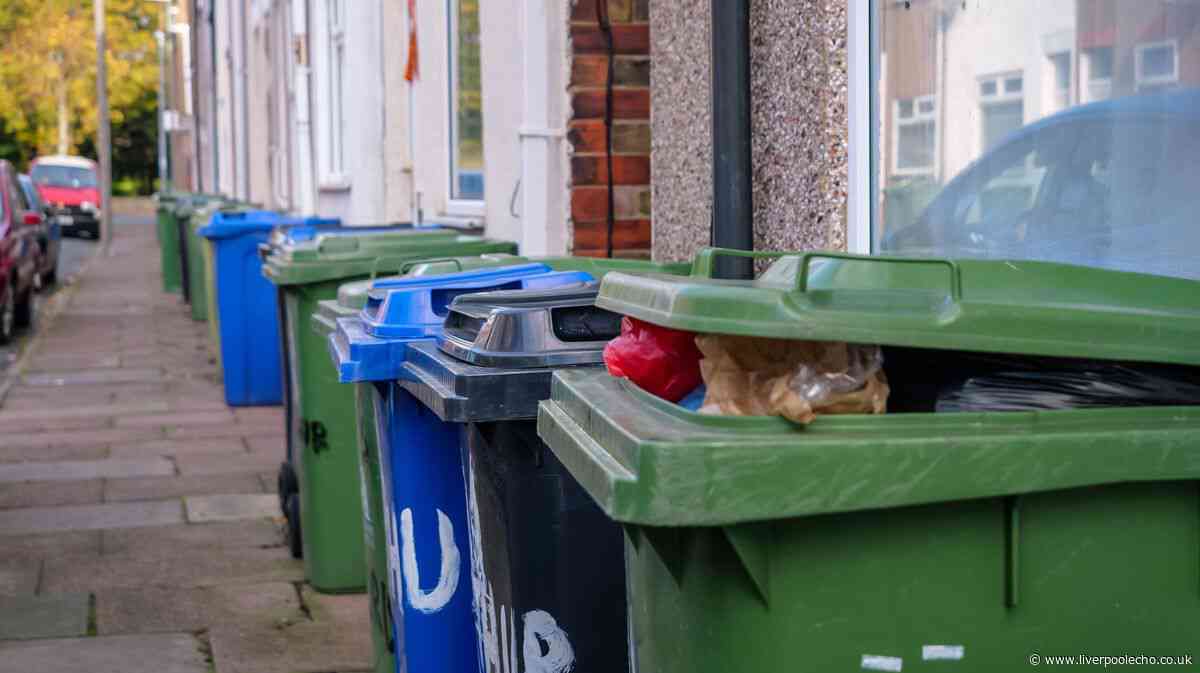 Binman shares little-known 'bin lid' rule that decides if your rubbish is emptied