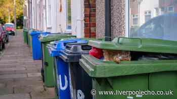 Binman shares little-known 'bin lid' rule that decides if your rubbish is emptied