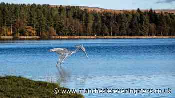 The gorgeous autumn walk near Greater Manchester that’s 'like Canada’ - with a pub at the end