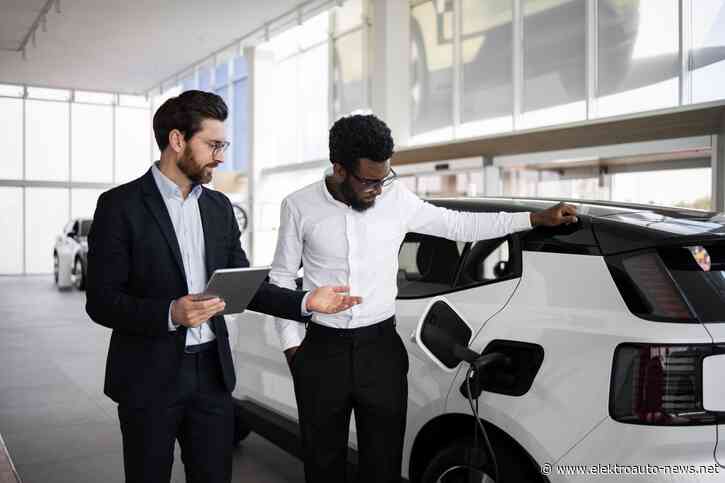 Was E-Auto-Kund:innen vom Autohaus wirklich erwarten