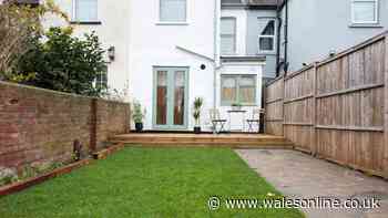 Lawn expert says September is the 'best time' to repair your grass with one vital step