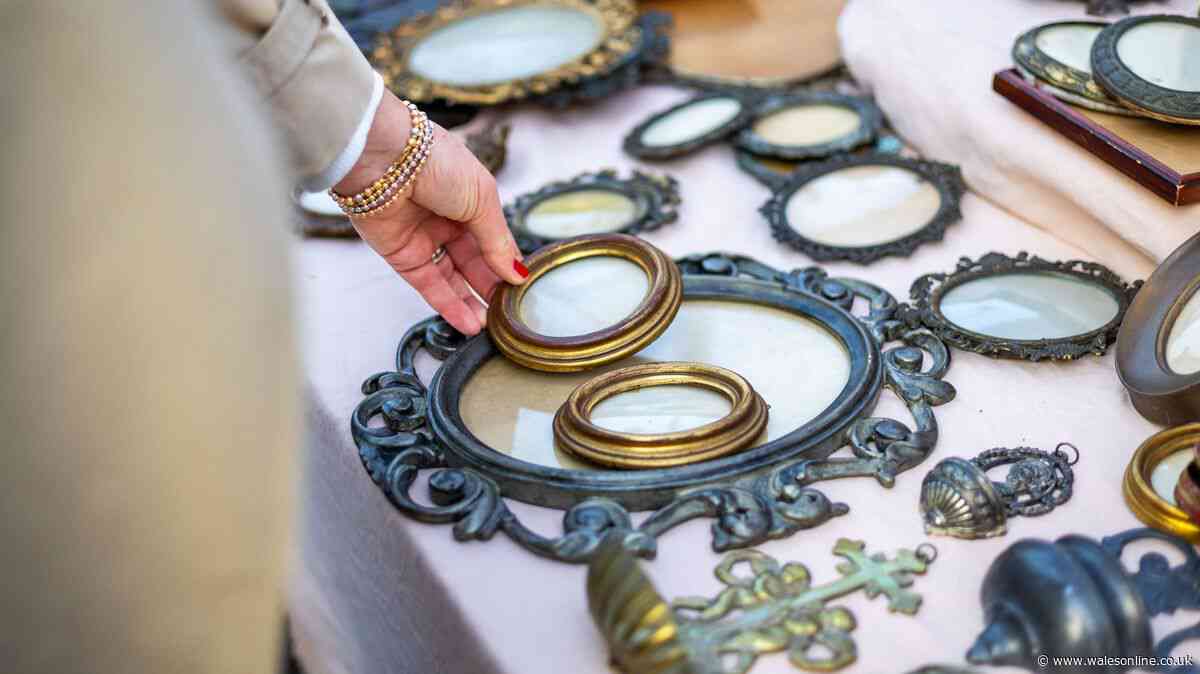 Woman finds rare frame in charity shop and realises it's worth a lot more than she paid