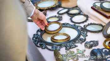 Woman finds rare frame in charity shop and realises it's worth a lot more than she paid