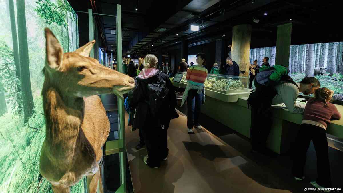 Vor Port des Lumières: Diese Erlebniswelt erhält den „Tourismuspreis 2026“