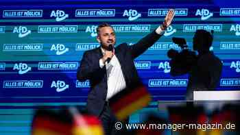 AfD in Sachsen-Anhalt: Was ein Wahlsieg für Bildung und Kultur bedeuten würde