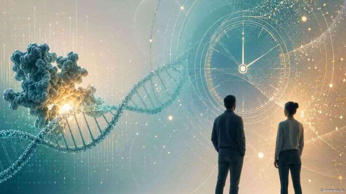 Wie alt ist Ihr Körper wirklich? Neue DNA-Uhr aus Jena liefert erstaunlich genaue Antworten