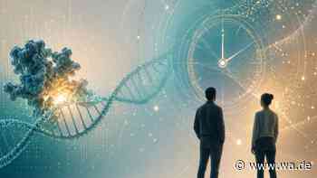 Wie alt ist Ihr Körper wirklich? Neue DNA-Uhr aus Jena liefert erstaunlich genaue Antworten