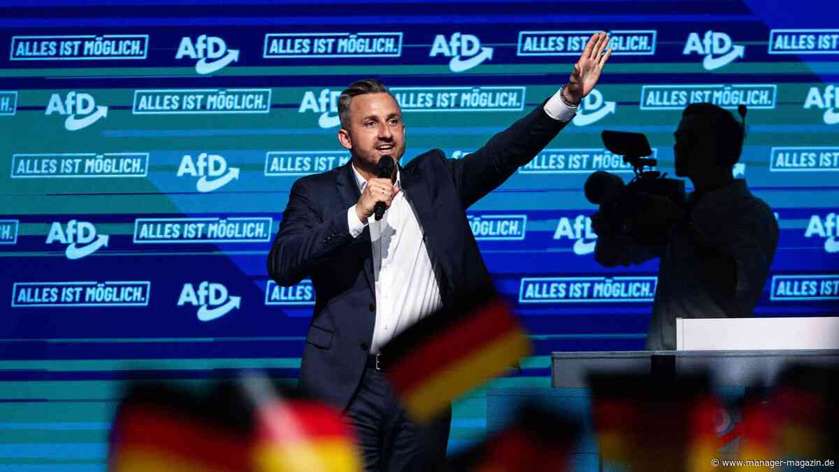 AfD in Sachsen-Anhalt: Was ein Wahlsieg für Bildung und Kultur bedeuten würde